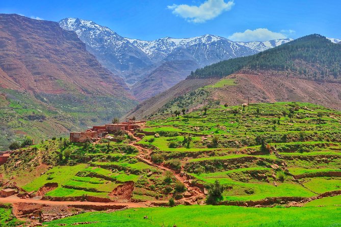 Private Atlas Mountains Day Trip - Pricing and Cancellation