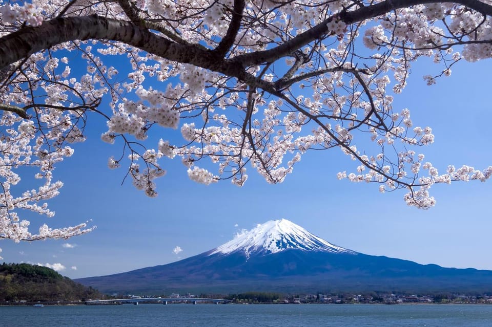 Private Customized Tour in Mount Fuji - Transportation and Accessibility