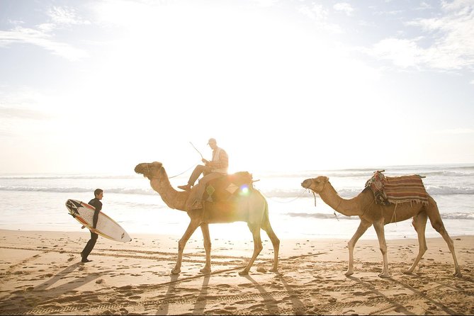 Private Day Trip From Marrakech to Essaouira City - Admire the Architectural Wonders