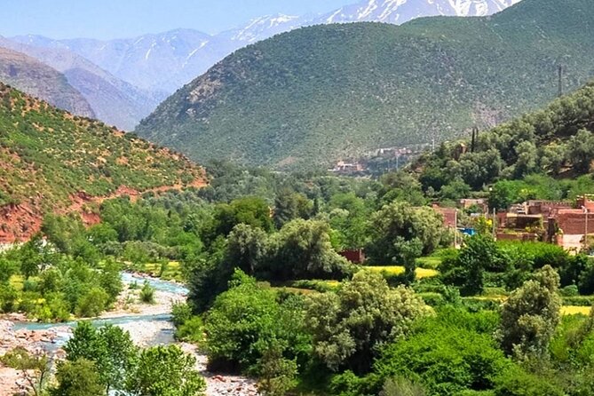 Private Day Trip to Atlas Mountains - Visiting the Berber Cooperative