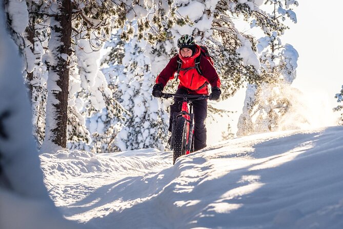 Private Electric Fat Bike Winter Tour in Rovaniemi - Participant Requirements