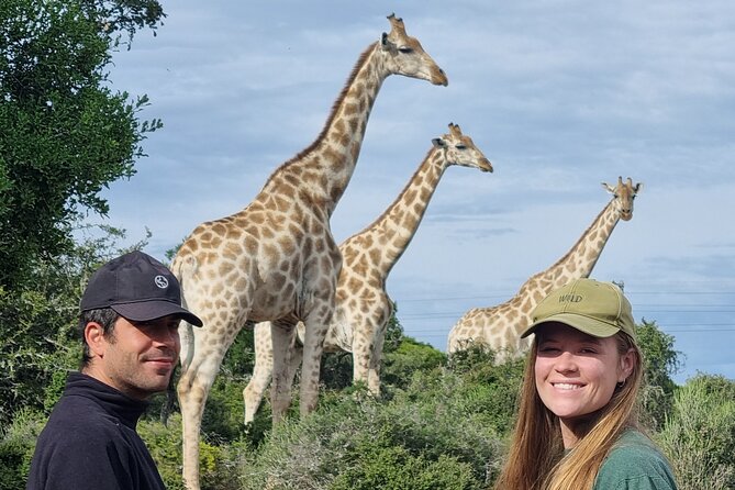 Private Full-Day Addo Elephant Park & Giraffe Walk Safari - Meeting and Pickup