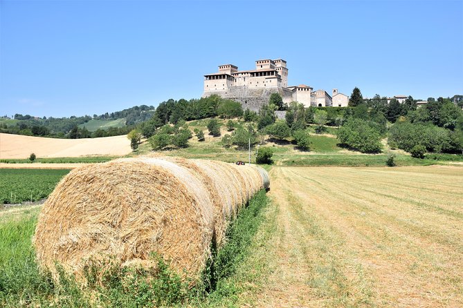 Private Half Day Parma Food Tour: Parmesan Cheese, Parma Ham, Lunch - Parma Ham Production