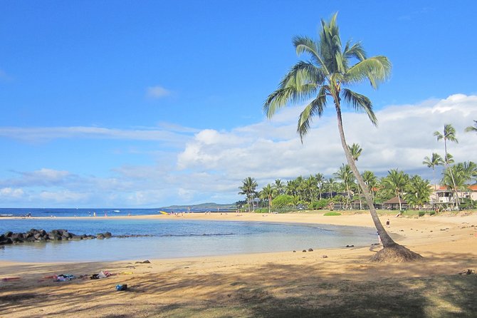 Private Luxury Tour of Kauai: South & West Shores - Additional Information