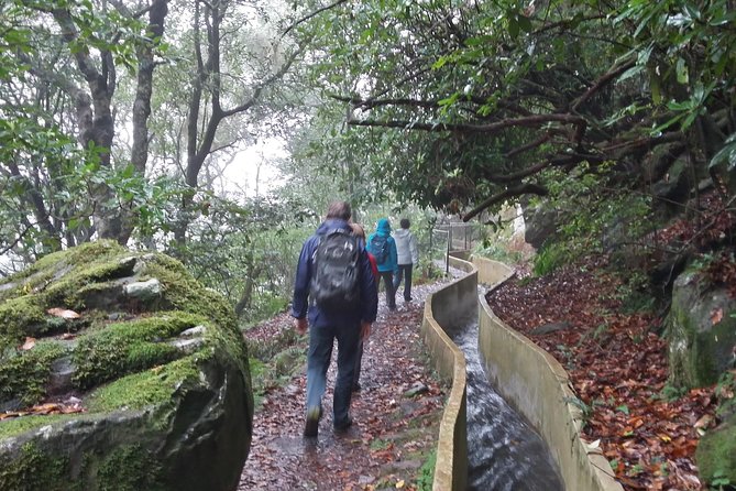 Private Sunrise Guided Hike on Pico Do Areeiro or Other Custom - Inclusions and Tour Details