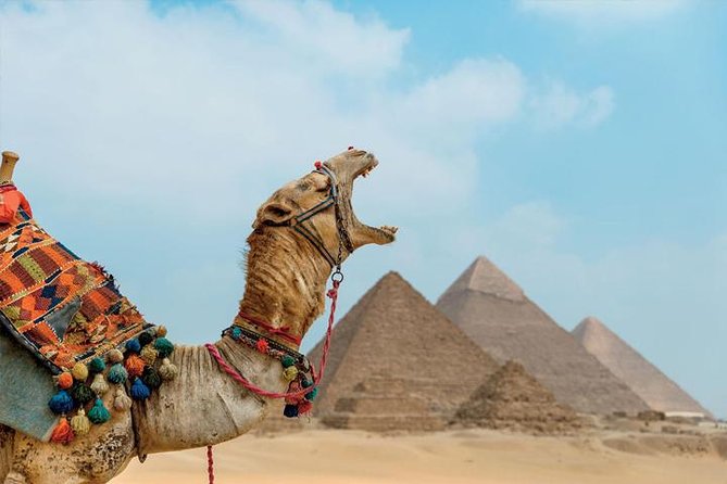 Private Tour Giza Pyramids,Sphinx,Pyramids View Lunch ,Camel - Tour Logistics