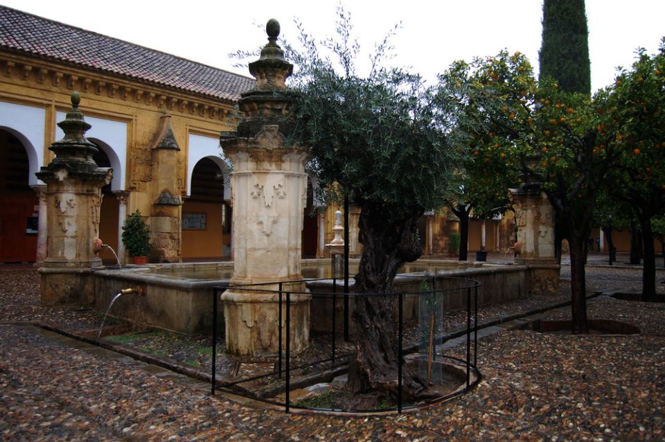 Private Tour of the Mosque-Cathedral and Jewish Quarter - Highlights