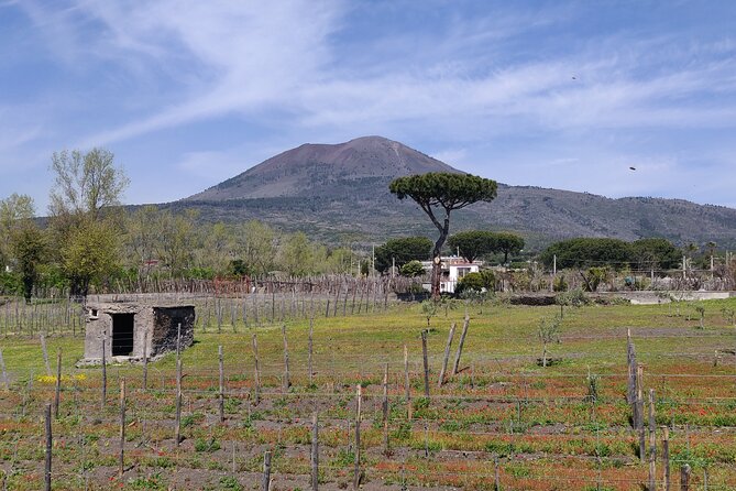 Private Tour Pompeii, Vesuvius and Herculaneum - Transportation and Inclusions