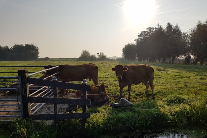 Private Tour to Zaanse Schans &Volendam: Cheese, Windmills, Clogs - Tour Details