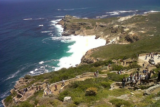 Private Tour With Wine Expert to Cape of Good Hope & Constantia Wine Region - Exploring the Oldest Wine Region