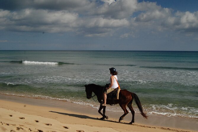 Punta Cana Horseback Riding on the Beach - Safety and Accessibility