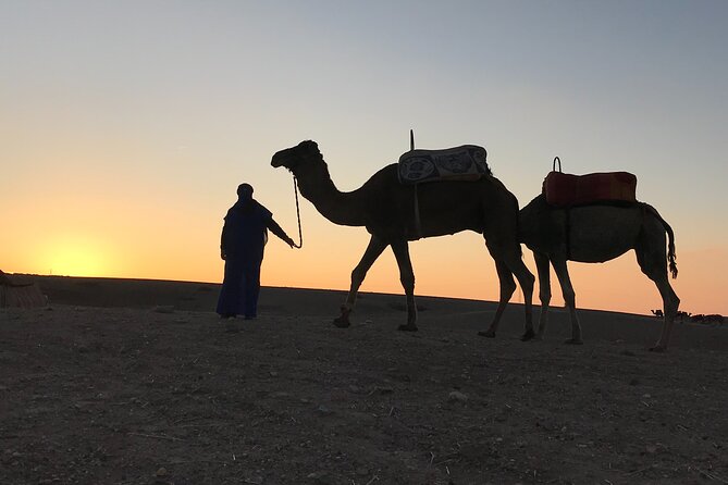 Quad Bike and Camel Riding Experience at Agafay Desert - Meeting Point and Pickup