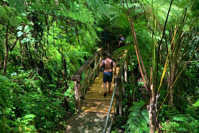 Rainforest Nature Walk & Luquillo Beach Combo - Swimming in Crystal Waters