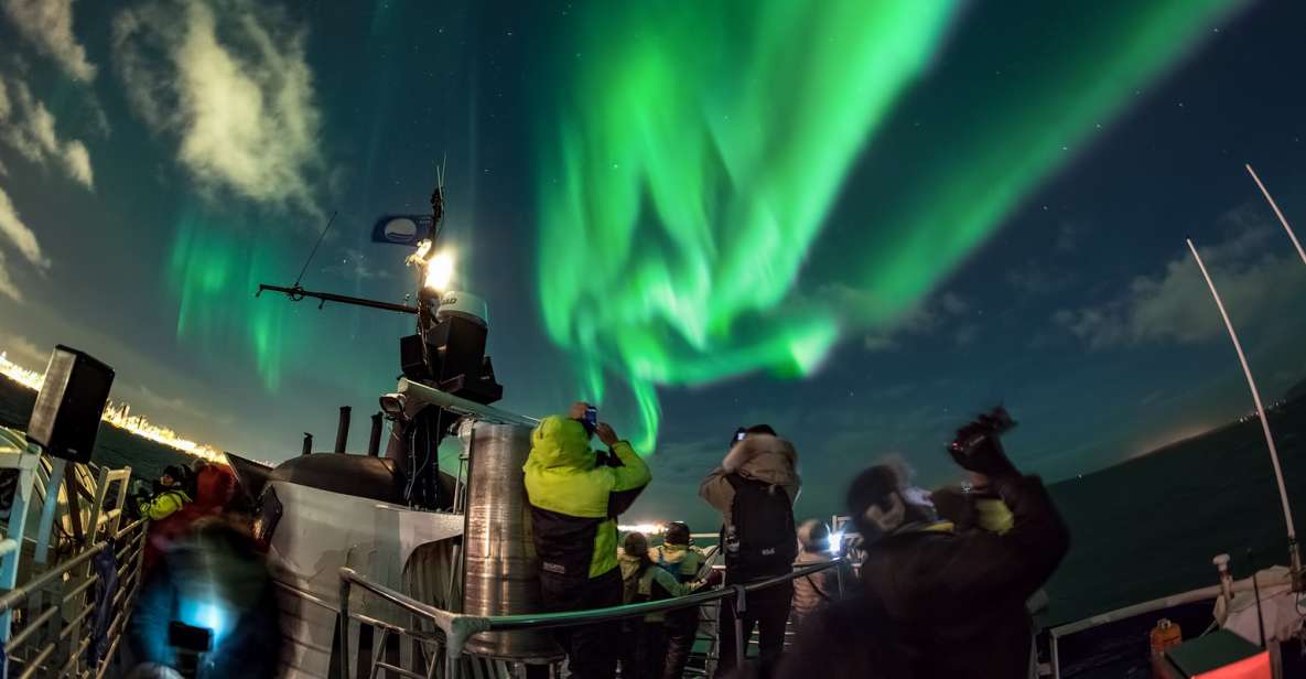 Reykjavik: 2-Hour Northern Lights by Boat With Backup Plan - Inclusions