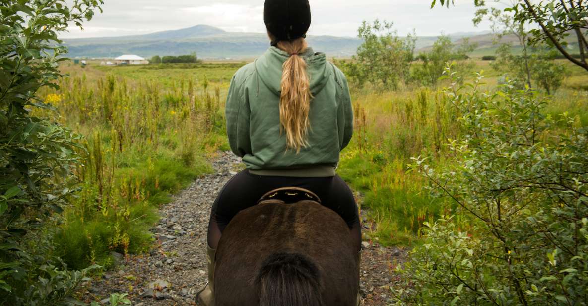 Reykjavik: Silfra Snorkel Tour and Horse Ride With Photos - Drysuit or Wetsuit Option