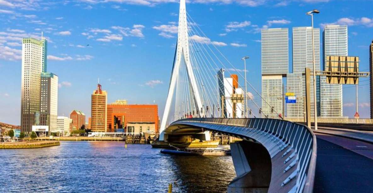 Rotterdam: Private Custom Walking Tour With Local Guide - Logistics and Accessibility