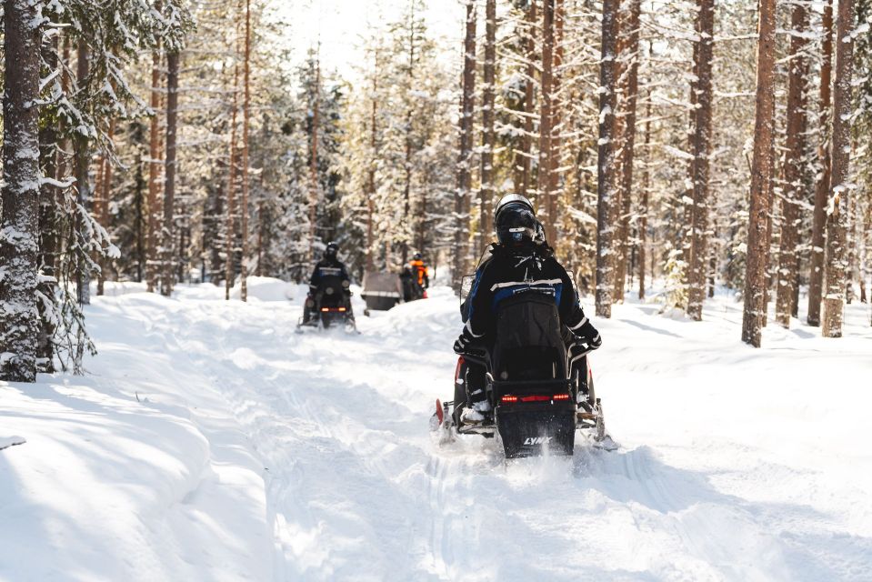 Rovaniemi: Easy Snowmobile Safari - Whats Included