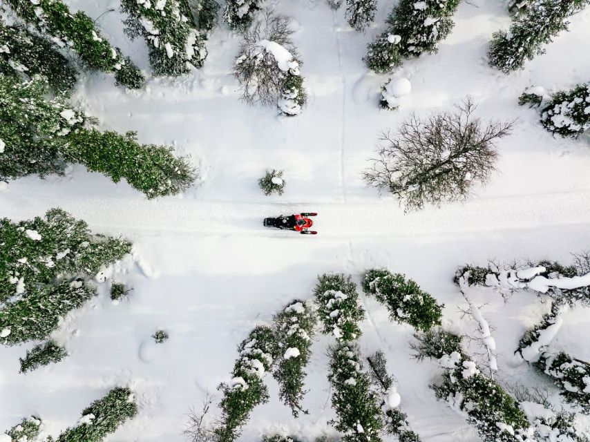 Rovaniemi: Snowmobile Safari Adventure - Inclusions