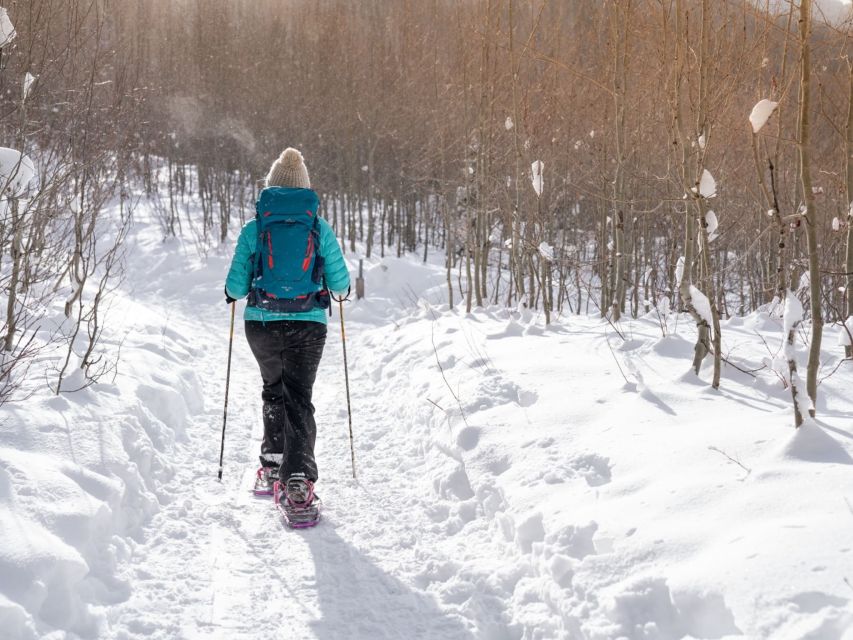 Rovaniemi: Wilderness Snowshoes Expedition Tour & Barbeque - Pricing and Cancellation