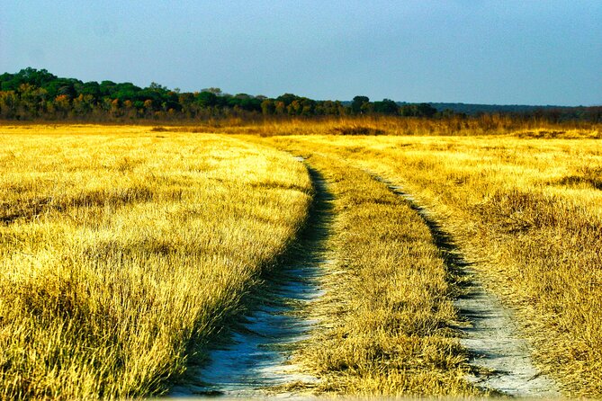 Safari Game Drive in the Savannah With Hotel Pickup 3 Times Daily - Accessibility Considerations