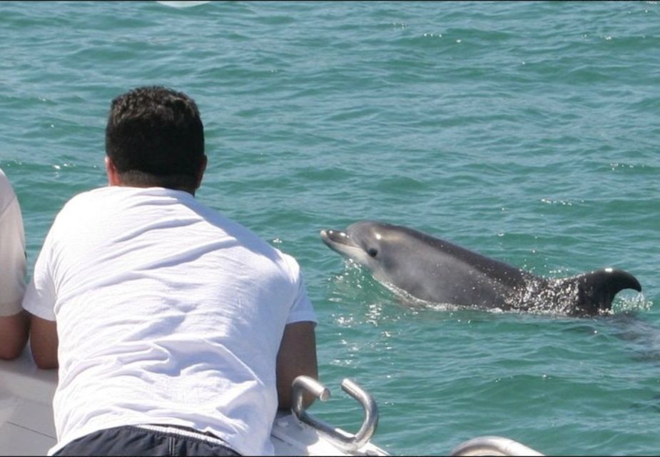 Sailboat Ride in Sado River and Atlantic Ocean - Half Day - Sado River Cruise