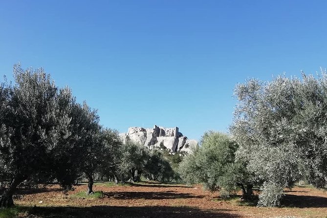 Saint Remy, Les Baux and Pont Du Gard Small Group Day Trip - Key Sites in Les Baux