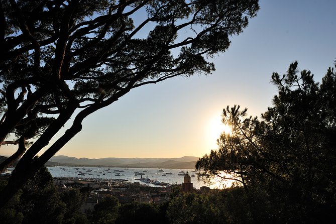 Saint-Tropez and Port Grimaud Day From Nice Small-Group Tour - Picturesque Port Grimaud