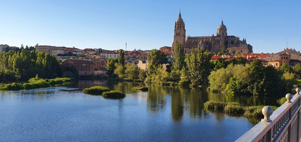 Salamanca: Private Sightseeing & Cultural Walking Tour - Itinerary Highlights