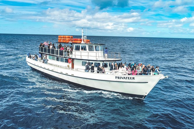 San Diego Whale Watching Tour - Wildlife Encounter Highlights