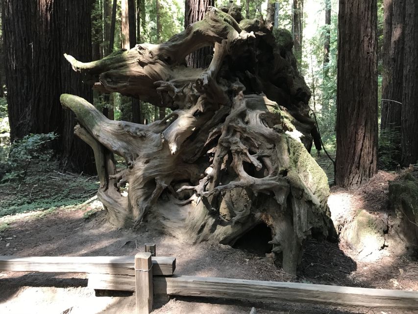 San Francisco: Private Muir Woods and Sausalito Tour - Transportation and Pickup