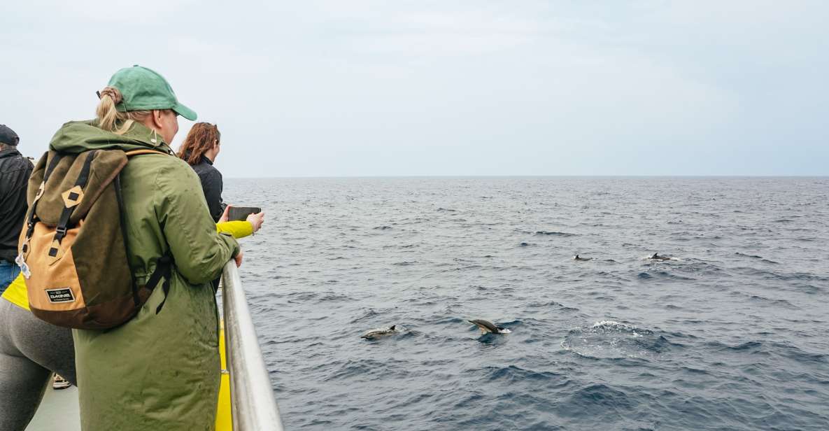 Sao Miguel Azores: Half-Day Whale Watching Trip - Booking and Cancellation Details