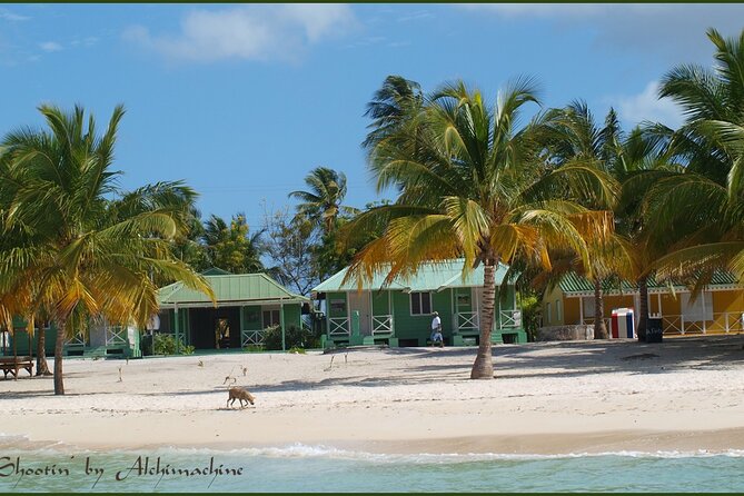 Saona Island for Costa Pacifica Cruise Passengers - Snorkeling Equipment