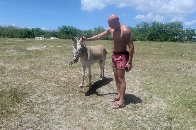 Saona Island Premium Discovery Tour From Punta Cana or Bayahíbe - Customer Experiences and Feedback