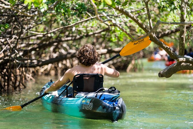 Sarasota Mangrove Tunnel Guided Kayak Adventure - Meeting Point and Logistics