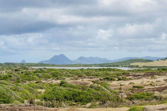 Savane Des Petrifications Hike - Detailed Tour Information