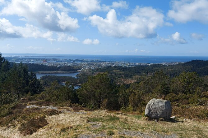 Scenic Tour to Steinsfjellet, Locals at Kringsjå & Rising Tide - Accessibility and Participation