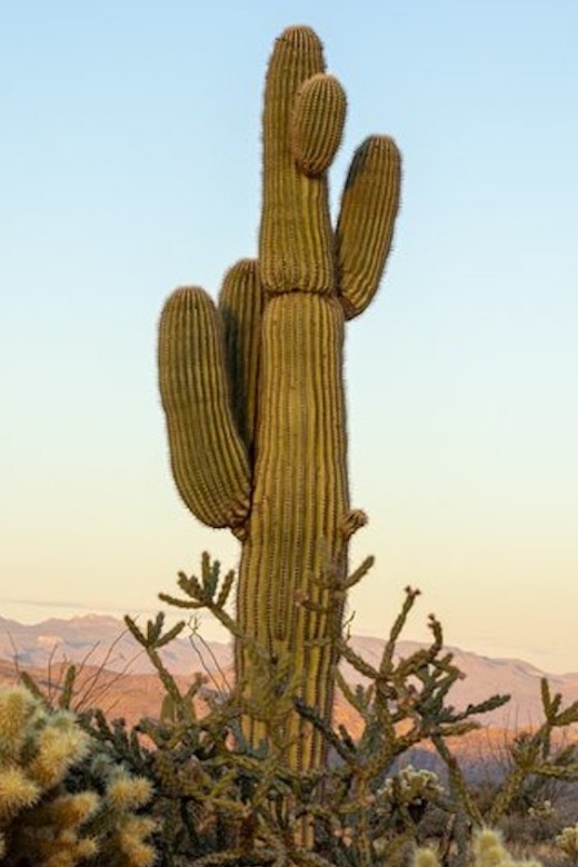 Scottsdale: McDowell Sonoran Preserve Hiking Tour - Hiking up Granite Mountain