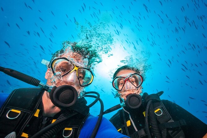 Scuba Diving to Dimaniyat Islands Muscat Oman - What to Expect