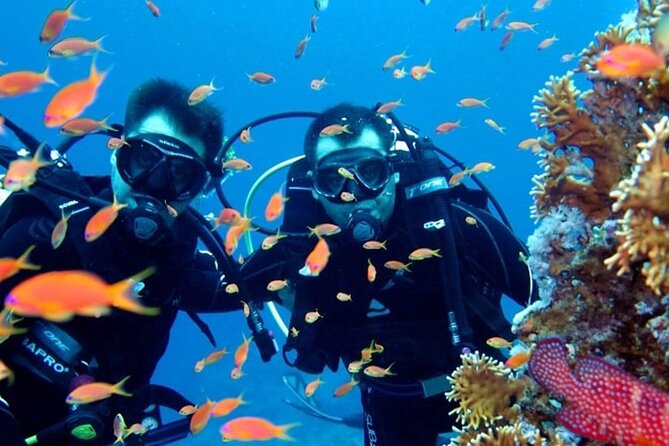 Scuba Diving Tour - Customer Feedback