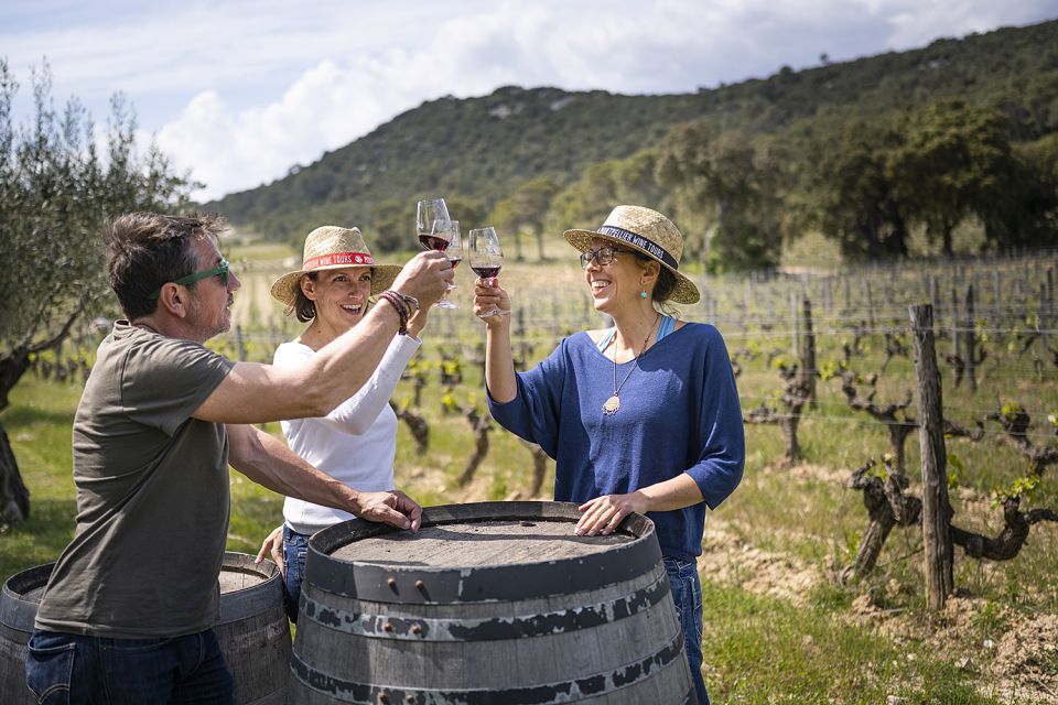 Sète: Private Half-Day Wine Tour - Cancellation Policy