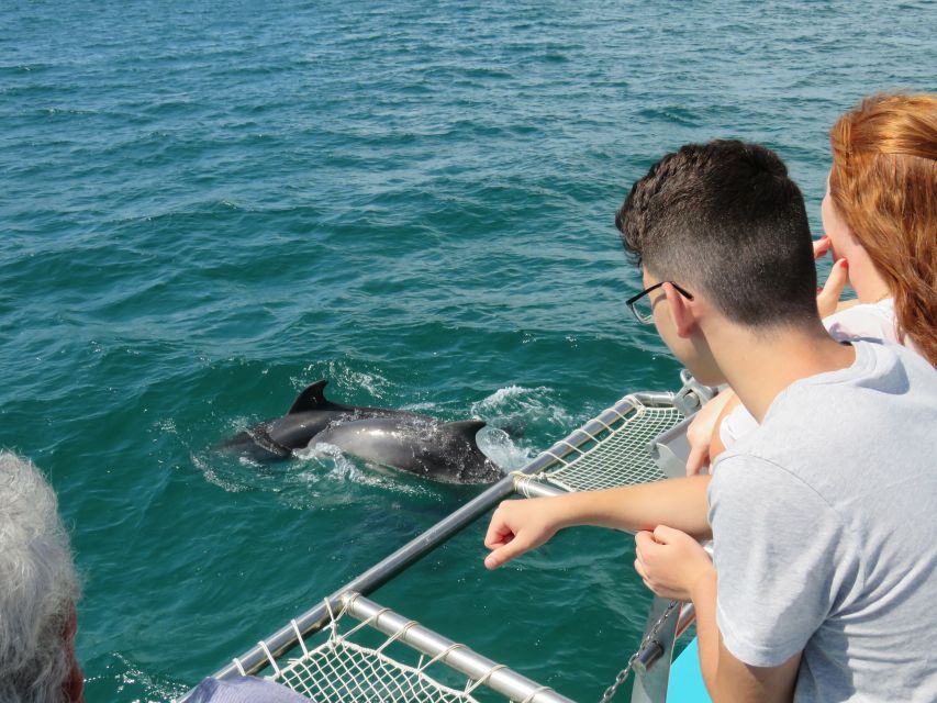 Setúbal: Dolphin Watching Tour - Booking and Cancellation