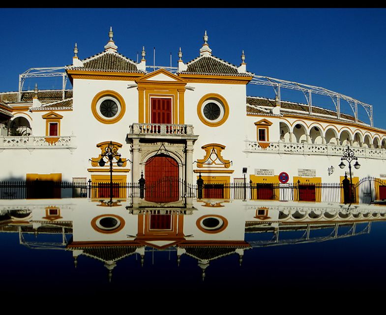 Seville 4-Hour Guided Walking Tour - Experience and Learning