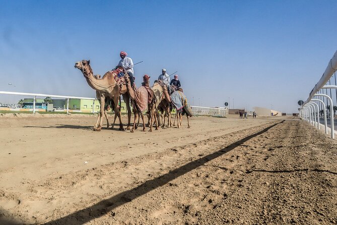 Sheikh Faisal, Camel Race Track Visit - Pricing and Booking