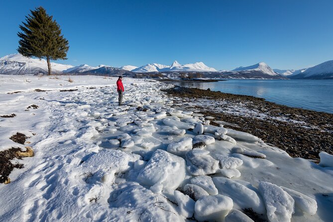 Small Group, Arctic Landscape Blue Day Tour With Creative Vacations - Tour Description