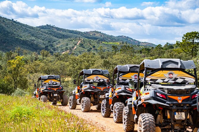 Small-Group Buggy Riding Safari in Algarve - Confirmation and Accessibility