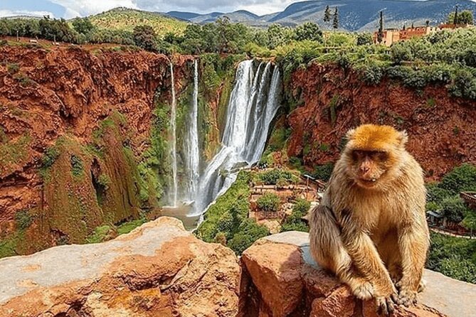 Small Group Ouzoud Waterfall Guided Tour Boat Ride From Marrakech - Pickup and Accessibility