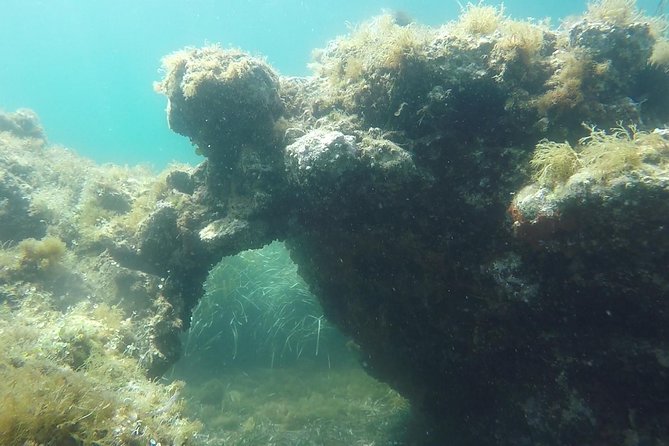 Snorkeling Among the Underwater Caves of Ischia Ponte - Notes for Travelers