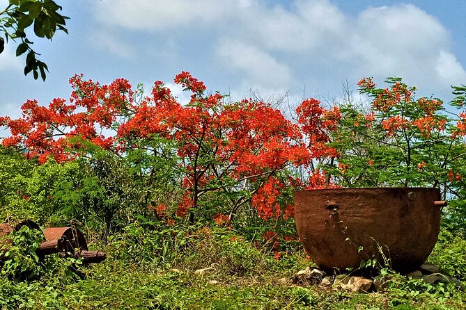 St. Martin - St. Maarten: Small Group, History Tour - Cancellation Policy