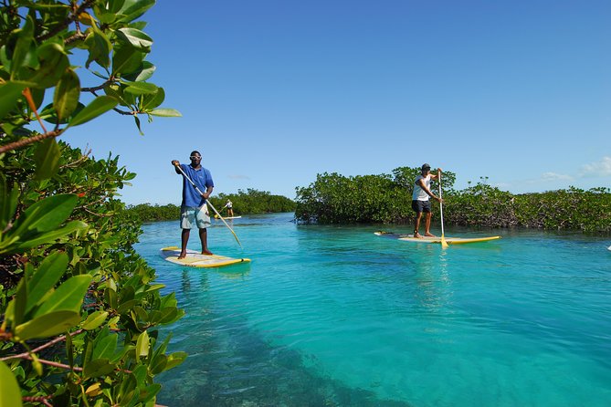 Stand up Paddleboard Eco Tour - Activity Requirements