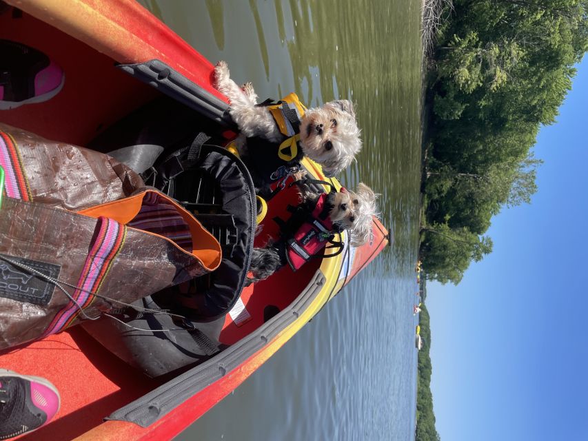 Starved Rock State Park: Guided Kayaking Tour - Availability and Pricing